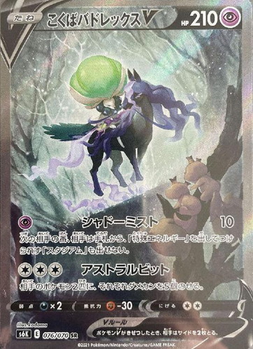 こくばバドレックスV 076/070 SR
