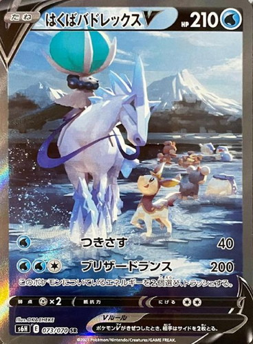 はくばバドレックスV 073/070 SR